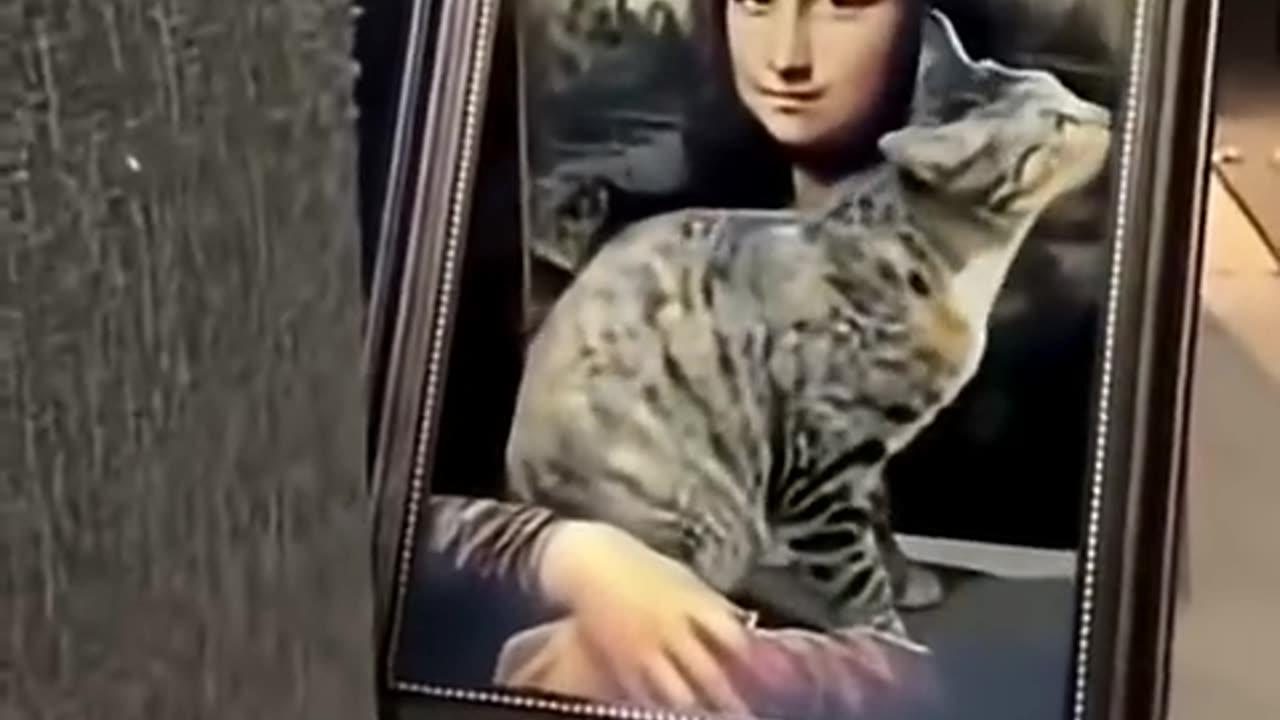 The animals. Issue 17.