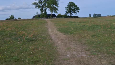 Promenad vid Backåkra naturreservat, Dag Hammarskjölds gård 28 Juli 2025