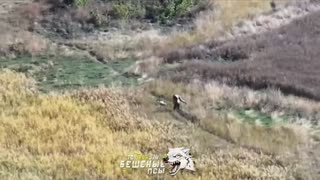 Hero Carried a Wounded Comrade 2.5 km to Safety!