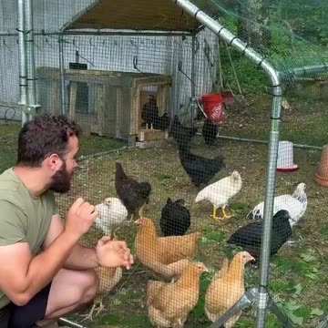This guy learned how to speak with chicken.