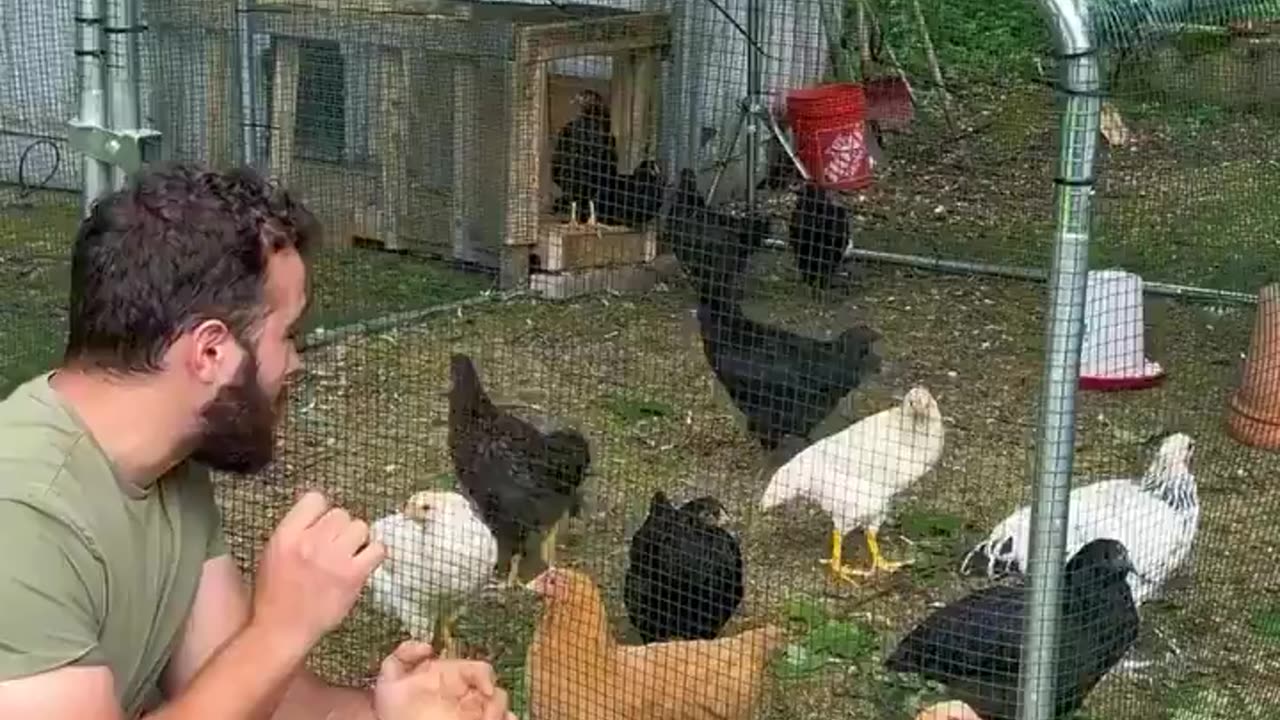 This guy learned how to speak with chicken.