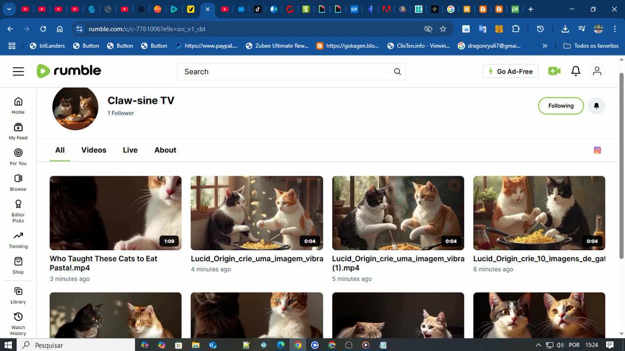 CANAL DE GATOS NO RUMBLE 2 (1).mp4