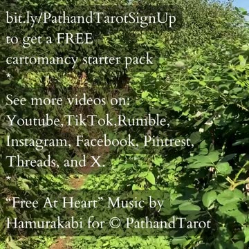 Boundaries Are The Space Your Intuition Lives In | Path and Tarot Reading