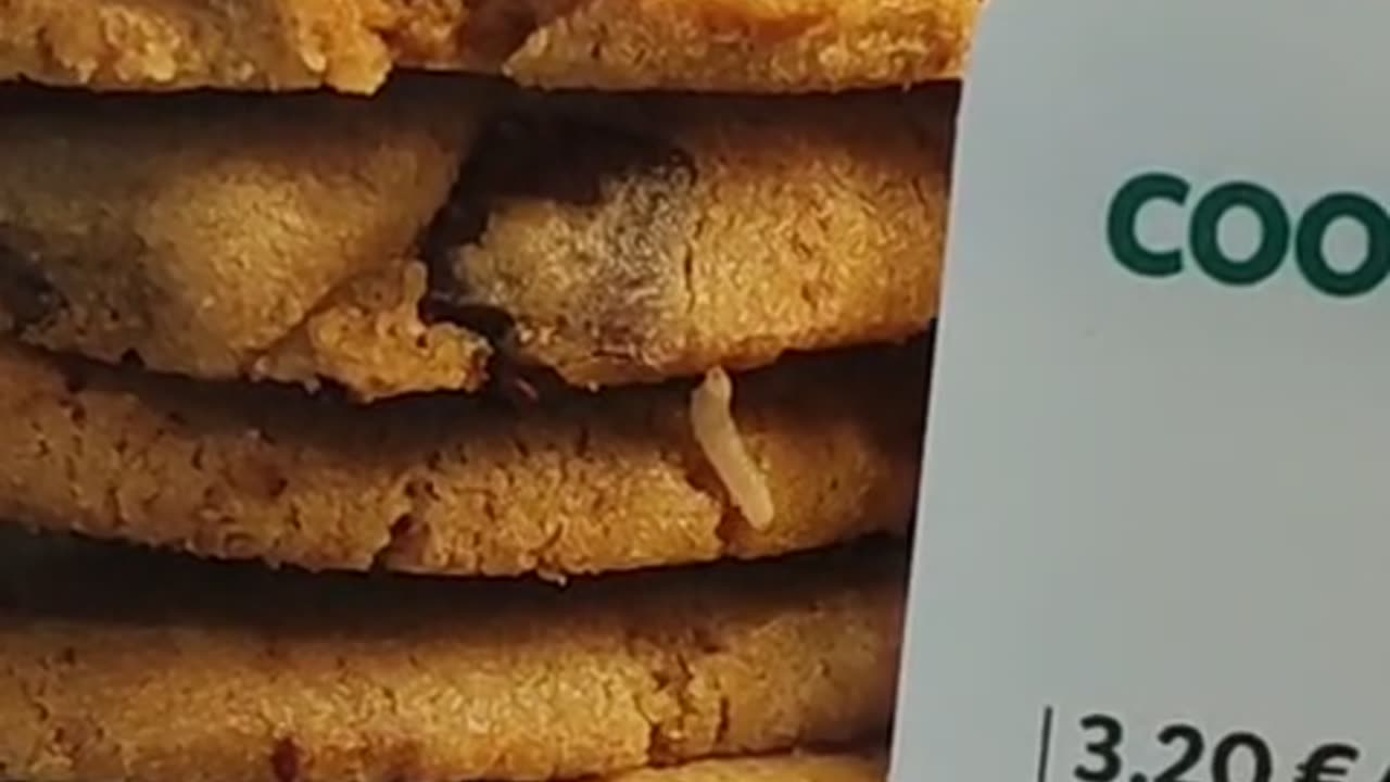 Small Bug Crawls Out From Stack of Cookies