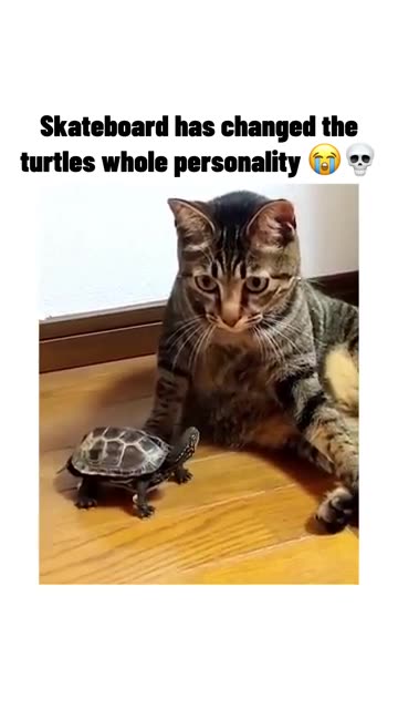 title in discription box