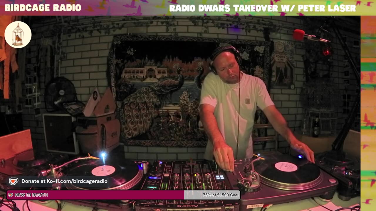 Peter Laser - RD X Birdcage Radio