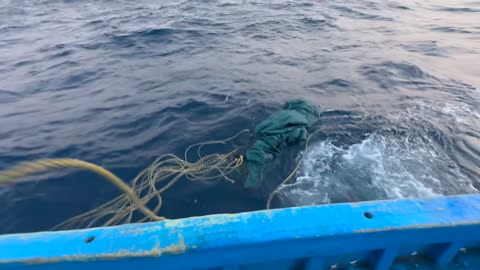 Netze im Morgengrauen Garnelenjagd vor Vietnams Küste #VietnamAngeln #Garnelenfischen #Küstenleben