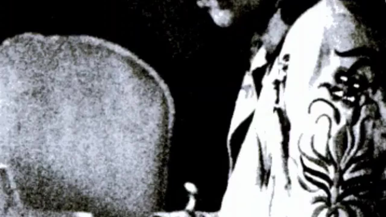 GUN LAWS IN ACTION - VOL. 511: THE MURDER OF FELIX PAPPALARDI