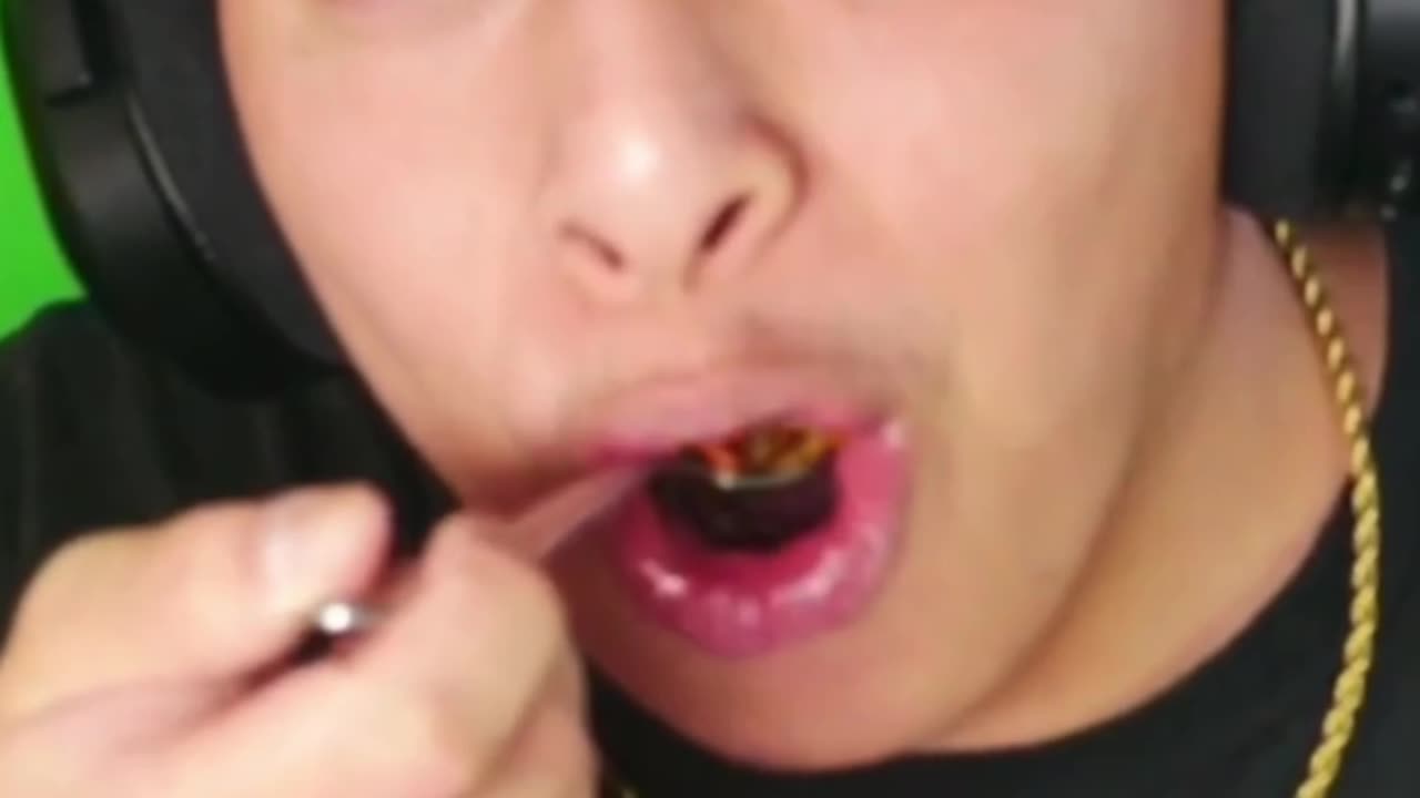 What does cat food taste like?