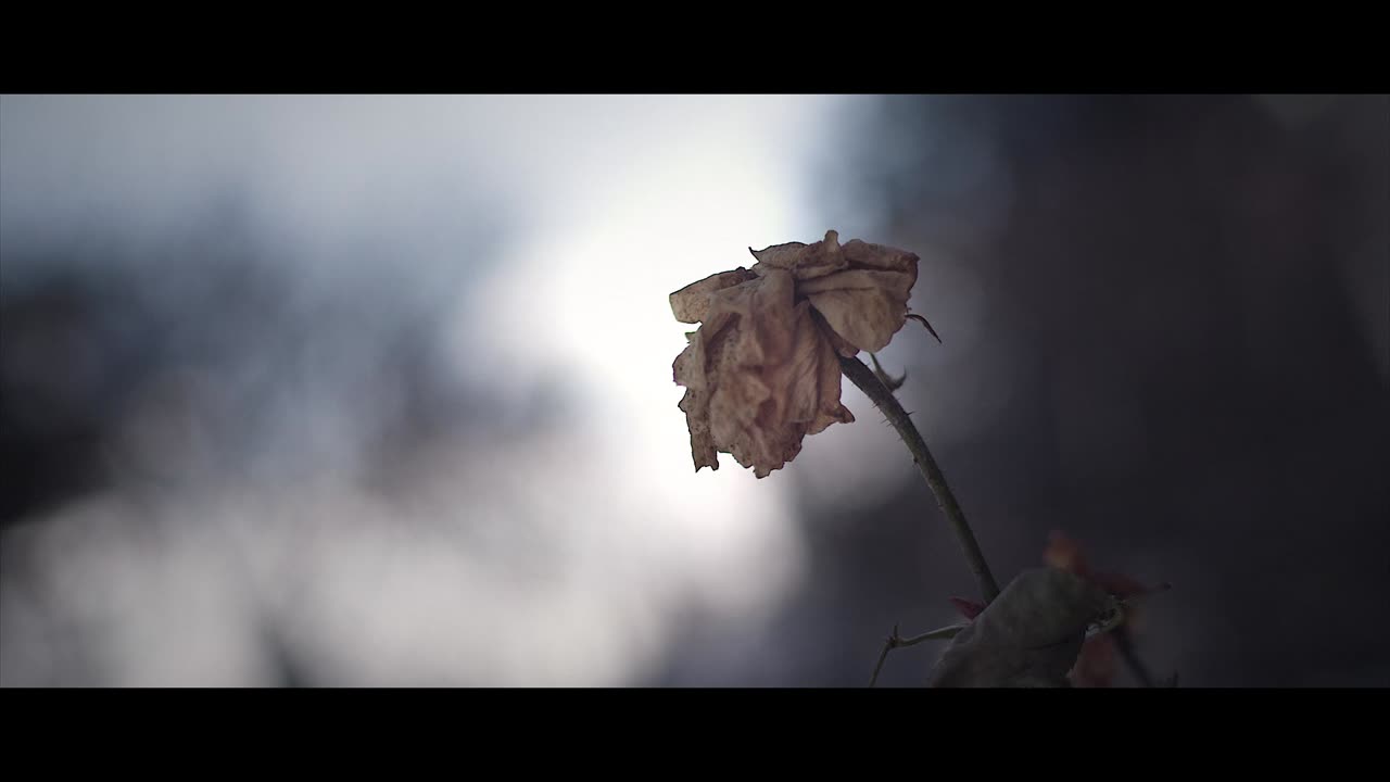 THE INSPIRED INITIATE FILM - COMING SOON