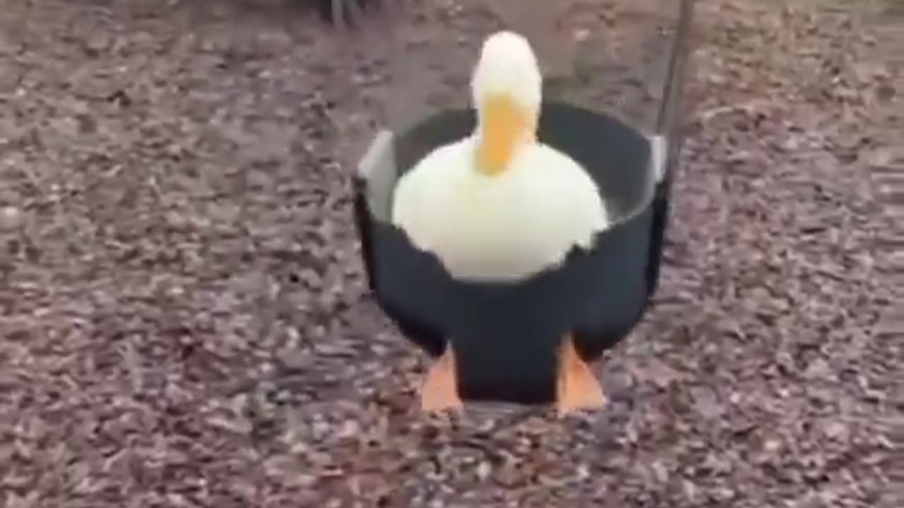 Just gonna leave this here...