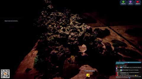 24/7 Real Live Reef Stream