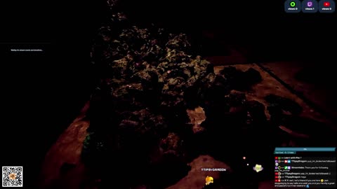 24/7 Real Live Reef Stream