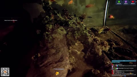 24/7 Real Live Reef Stream
