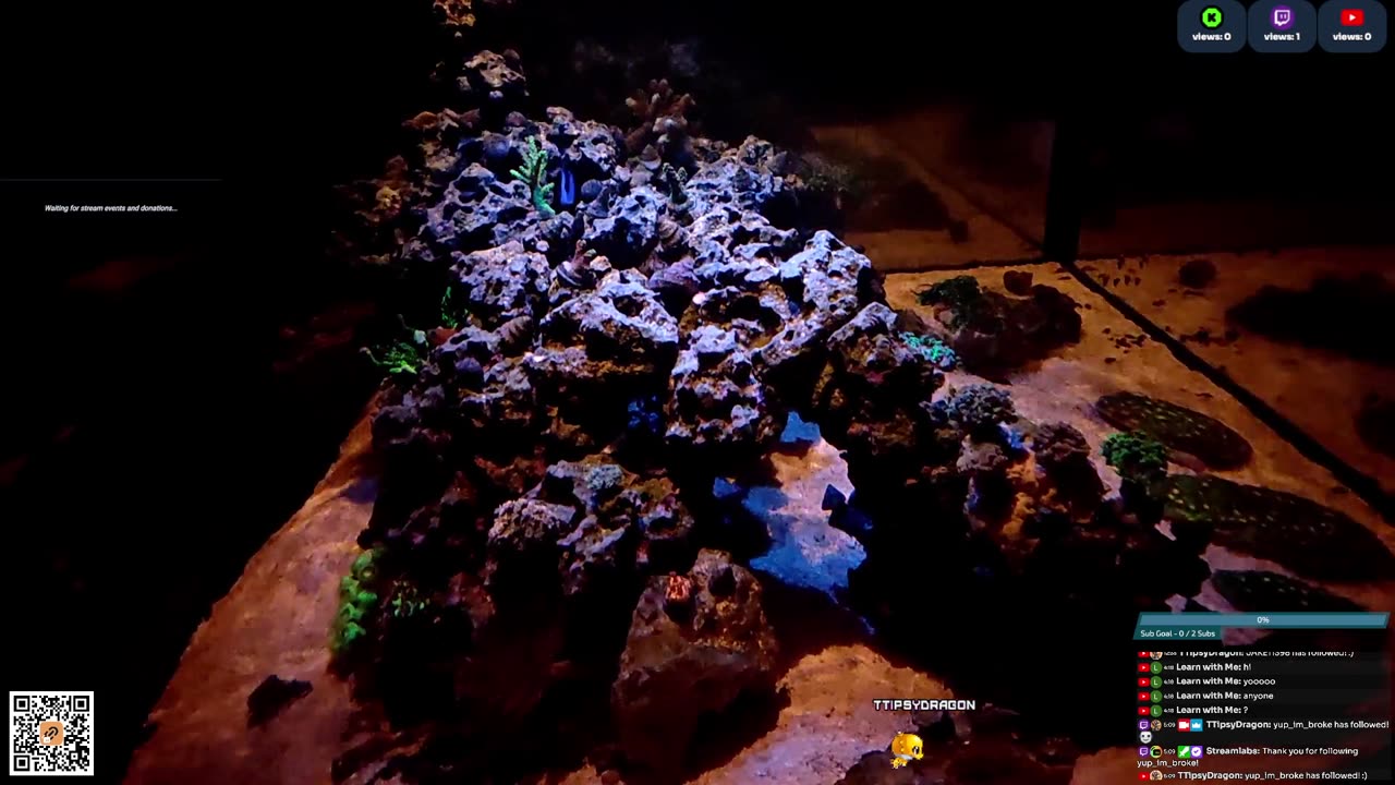 24/7 Real Live Reef Stream