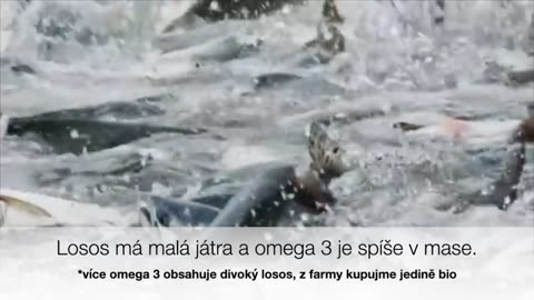 Sardinky vs. tresčí olej