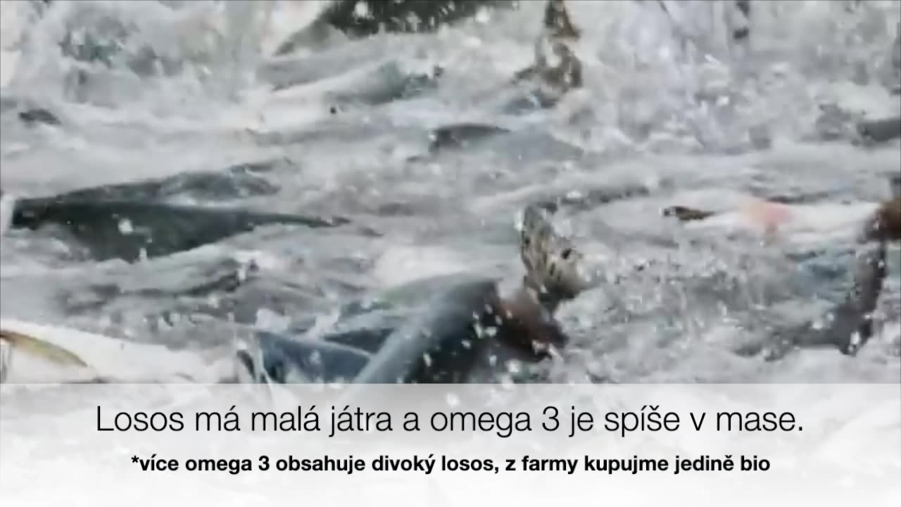 Sardinky vs. tresčí olej
