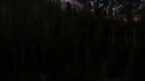 🙏🕊️ Quick Worship | A Prayer of Gratitude in 24 Seconds | InGodWeTrustDaily