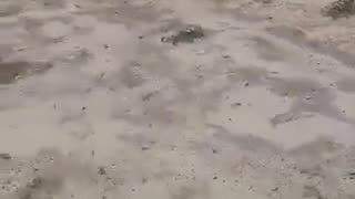 A plane carrying a delegation of the Democratic Republic of the Congo’s Minister of Mines