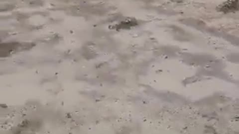 A plane carrying a delegation of the Democratic Republic of the Congo’s Minister of Mines