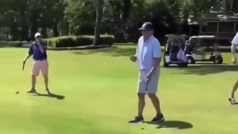 😂🦢 Swan's Epic Egg Fail Will Make You Laugh! | FunFM