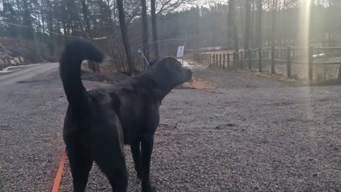 A barefoot Sun-Day 🌞