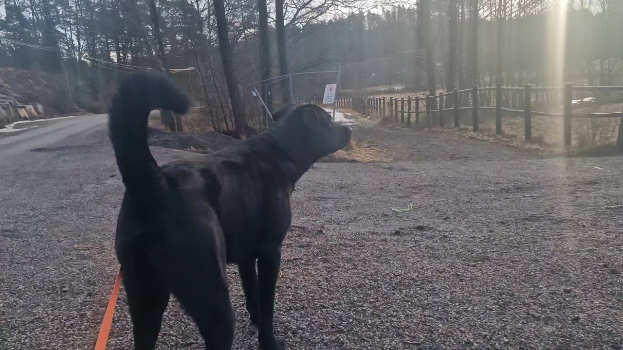 A barefoot Sun-Day 🌞