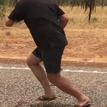 funny Animal Adventure😂😂🤣