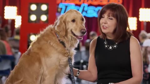 Singing Dogs_ Cat Tricks_ Animal Noises From A Human_ - America_s Got Talent 2018(720P_HD)