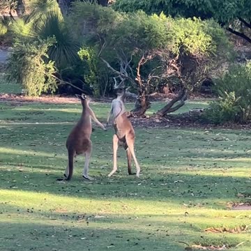 Welcome to Perth Australia 🇦🇺