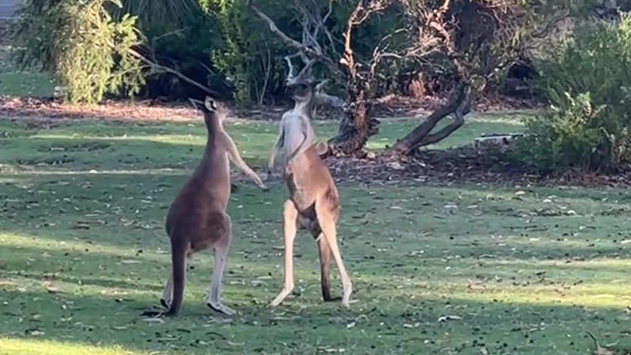 Welcome to Perth Australia 🇦🇺