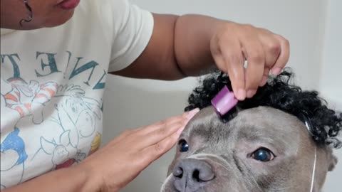 Edge day is a team sport 💁🏾‍♀️🐶