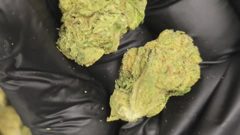 Blueberry Muffin THC Flower