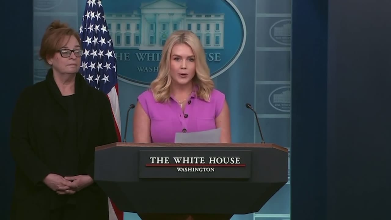 Karoline Leavitt slams “appalling and sad” state of Democratic Party putting illegals first