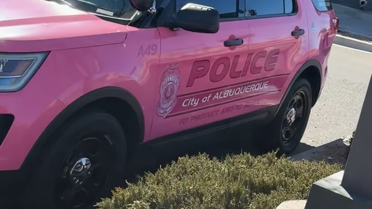 Pink Police Vehicle