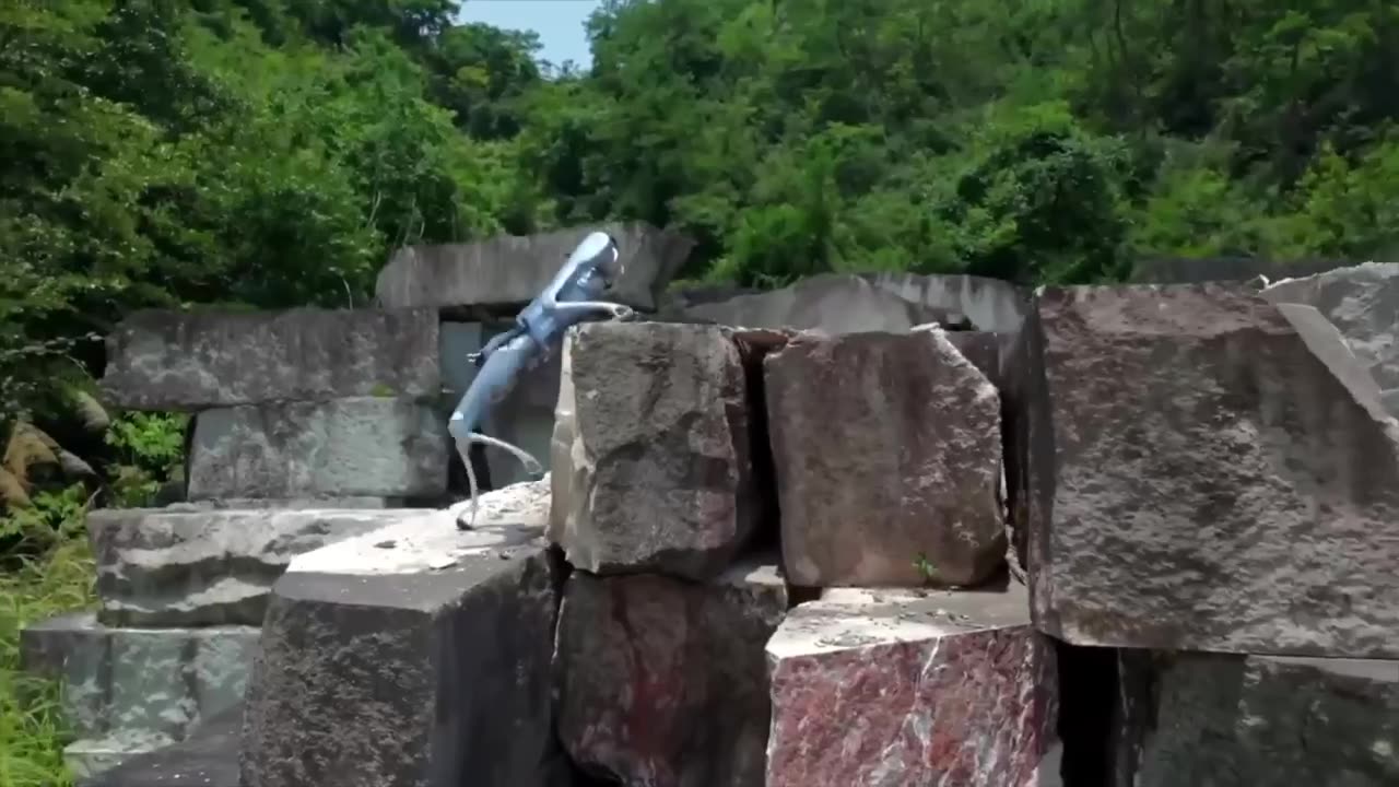🐕🤖 UnitreeRobotics has introduced the latest model of Stellar Hunter robot dog.
