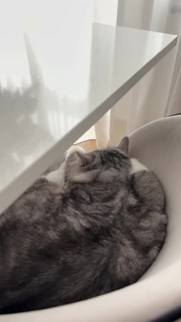 o epqwoe pqowiepqoi epoqi epoqi wpeoqipwoeipqowi epqowi epqowiepqwoiepqwe qpwoei pqwoei qwe pqweqwe