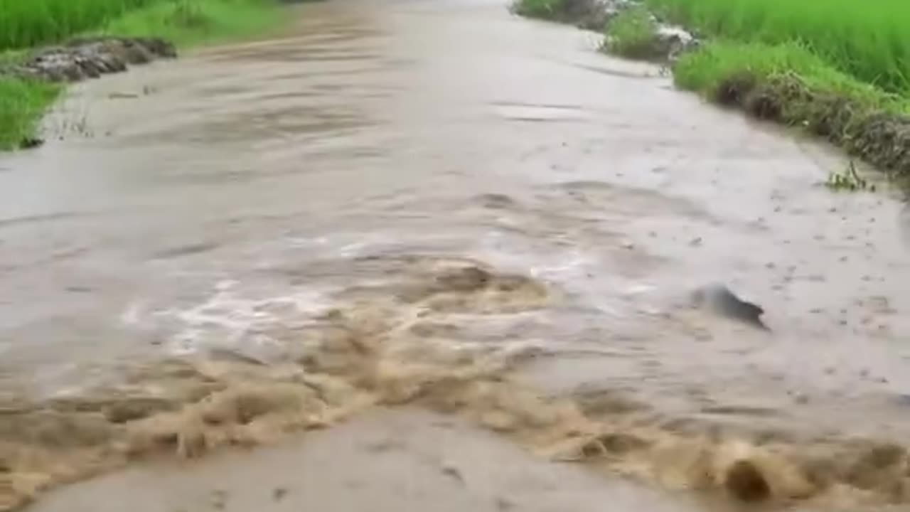 Rain day 🥶🥶🥶