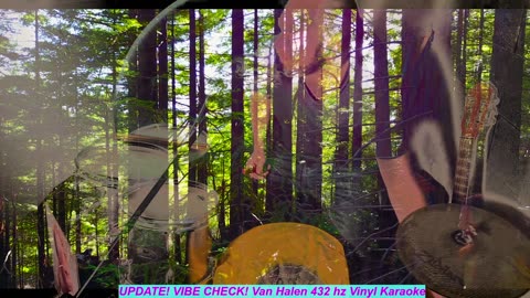 UPDATE! VIBE CHECK! Van Halen 432hz Vinyl w/ Schumman Resonance & Gamma 40hz Sound Healing