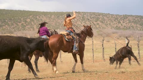 CCMA Cowgirl Camp 2025