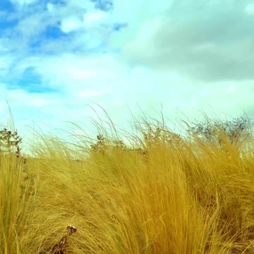 Calm evening atmosphere.. #relaxing #ReduceStress