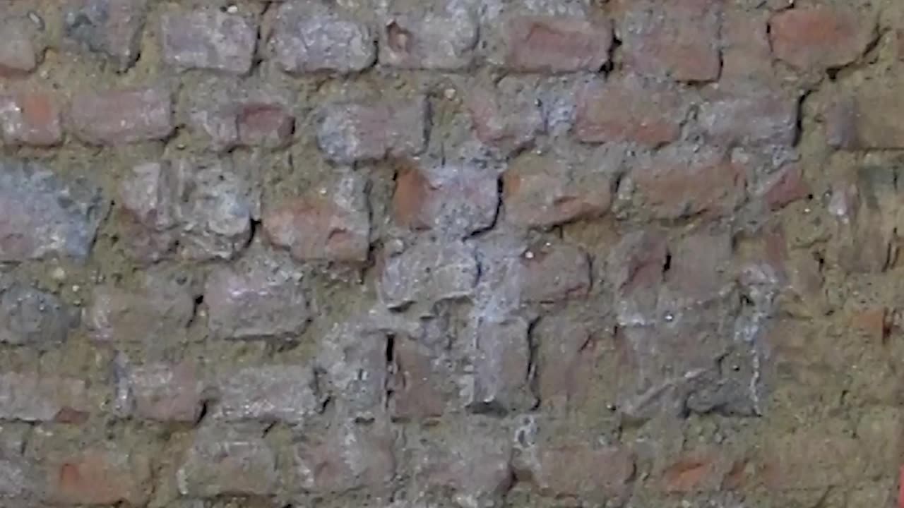 Applicare Primer G a pennello