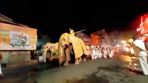 The Kandy cultural eventsin Sri Lanka (Dalada Maligawa -Esala Perahera)