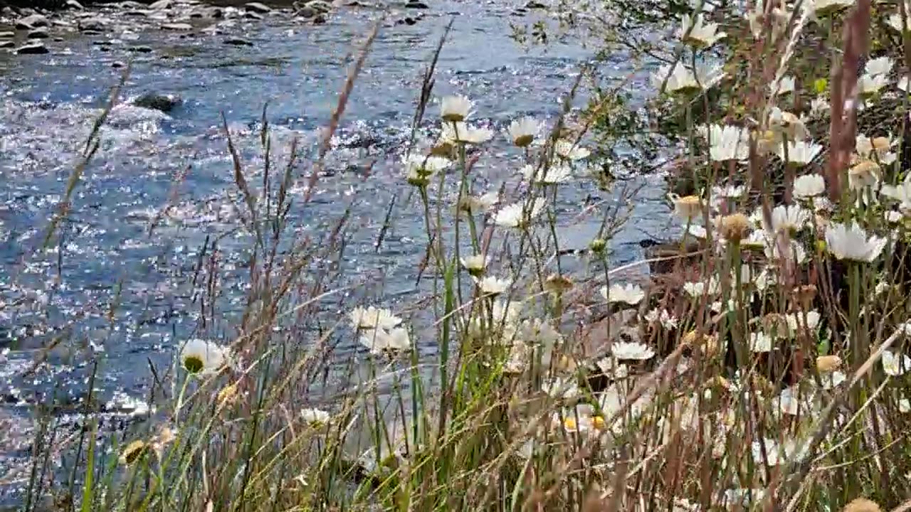 Blue River