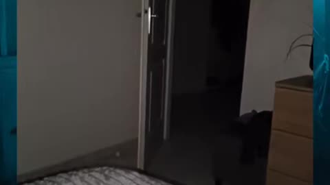 😱👻 This Is Truly Scary! You Won't Believe What Happens! | TheHauntingHour