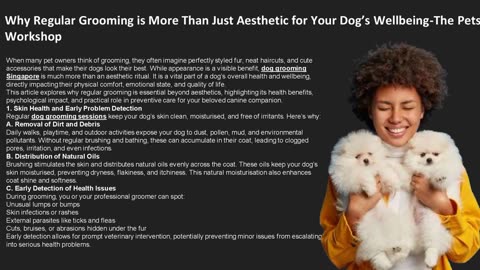 Why Regular Grooming is More Than Just Aesthetic for Your Dog’s Wellbeing-The Pets Workshop