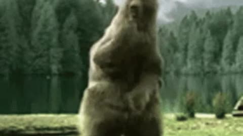 BEAR DANCE MUSIC completo - Made with Clipchamp.mp4