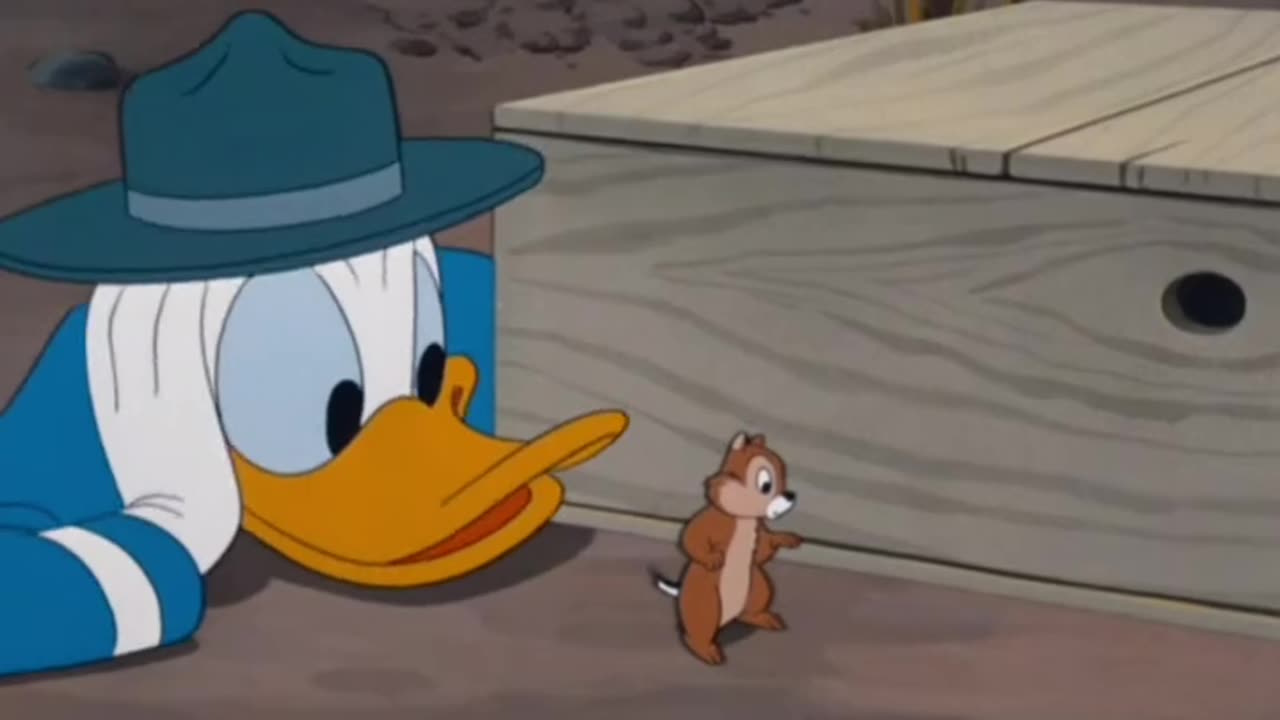 Winter Storage DonaldDuck (1949)