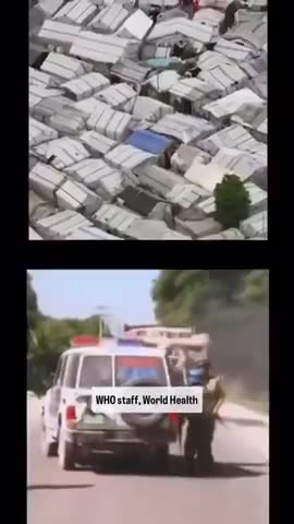 CHILD SEX TRAFFICKING BY THE UN