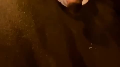 🤦‍♂️💦 Parkour + Rain = Disaster Waiting to Happen! | FunFM